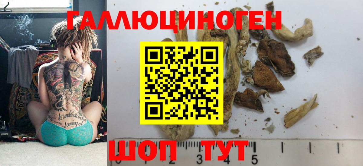 Псилоцибиновые грибы мицелий Павлово